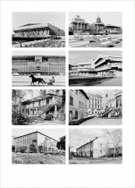 Facies02
