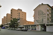 Stadt in Latenz, Haid